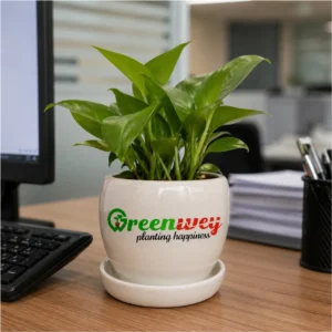 Custom Logo Ceramic Planter Pot with Tray – Corporate Gifting & Branding