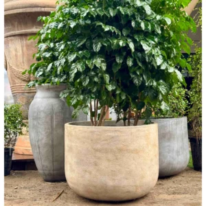 Antique Extra Large Round Fiberglass Planter – Rustic FRP PLanter