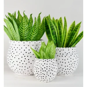 Polka Pop Ceramic Planter