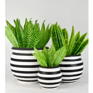 Monochrome Stripe Planter