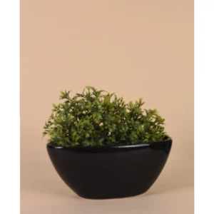 Classic Black Shallow Planter