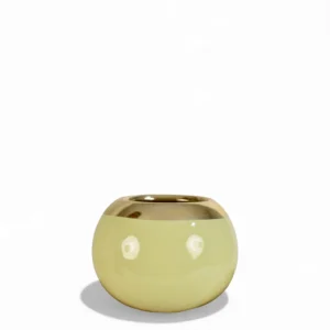 Soft Sunrise Gold Accent Pot