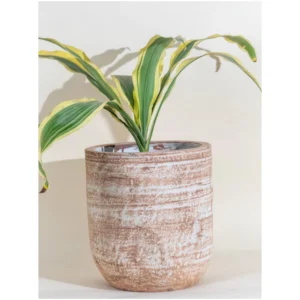 TerraRust Textured Ceramic Planter