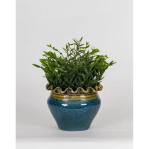 Azure Ruffle Rim Ceramic Planter