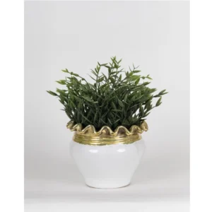 Ivory Crown White & Gold Ceramic Planter