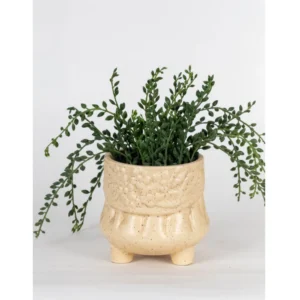 Ivory Meadow Textured Ceramic Planter
