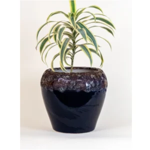 Obsidian Night Hand-Glazed Ceramic Planter