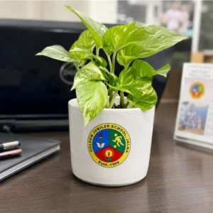 Custom Logo Pot for Desk & Gifting