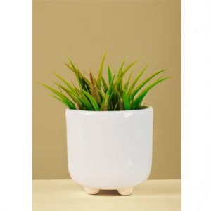 Modern Gloss Ivory Desk Planter