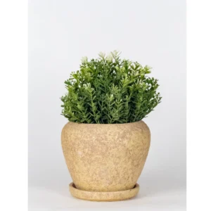 Desert Sand Classic Planter with Saucer