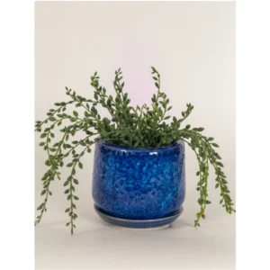 Ocean Glaze Ceramic Planter with Saucer