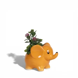 Sunny Elephant Ceramic Planter