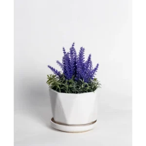 Nordic Pearl Ceramic Planter with Saucer
