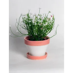 Nordic Blush Ceramic Planter with Saucer – White & Blush Pink