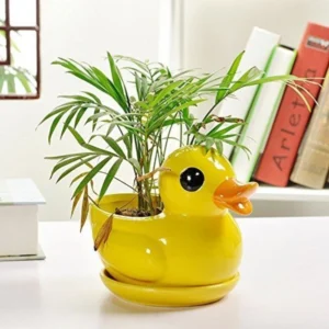 Yellow Duck Ceramic Planter with Drain Tray