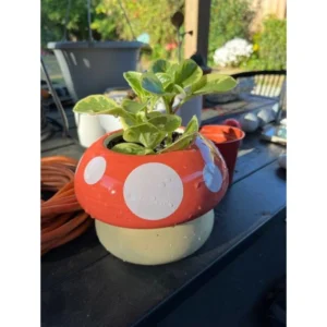 Mushroom Ceramic Planter – Glossy Red & White Polka Dot Flower Pot